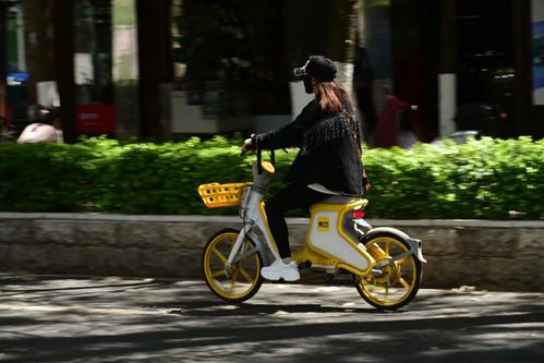 共享骑行热助推绿色出行 2022年美团单车昆明用户减碳34526吨